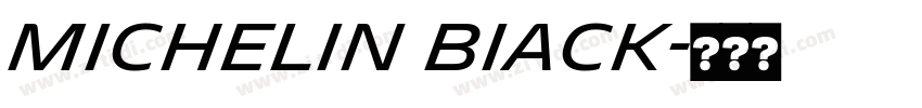 Michelin BIack字体转换